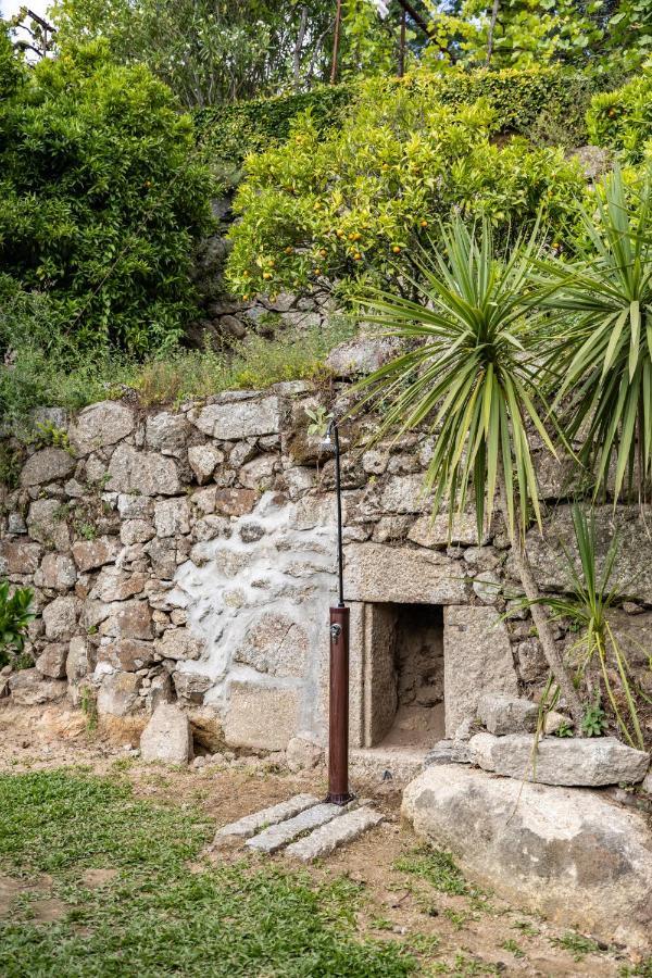 Casas Do Capitao - Paiva Valley - Pool And Nature カステロ・デ・パイヴァ エクステリア 写真