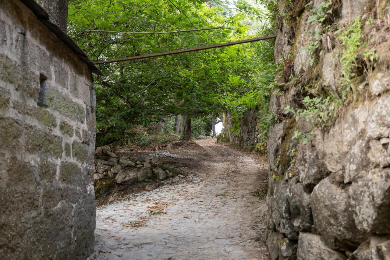 Casas Do Capitao - Paiva Valley - Pool And Nature カステロ・デ・パイヴァ エクステリア 写真