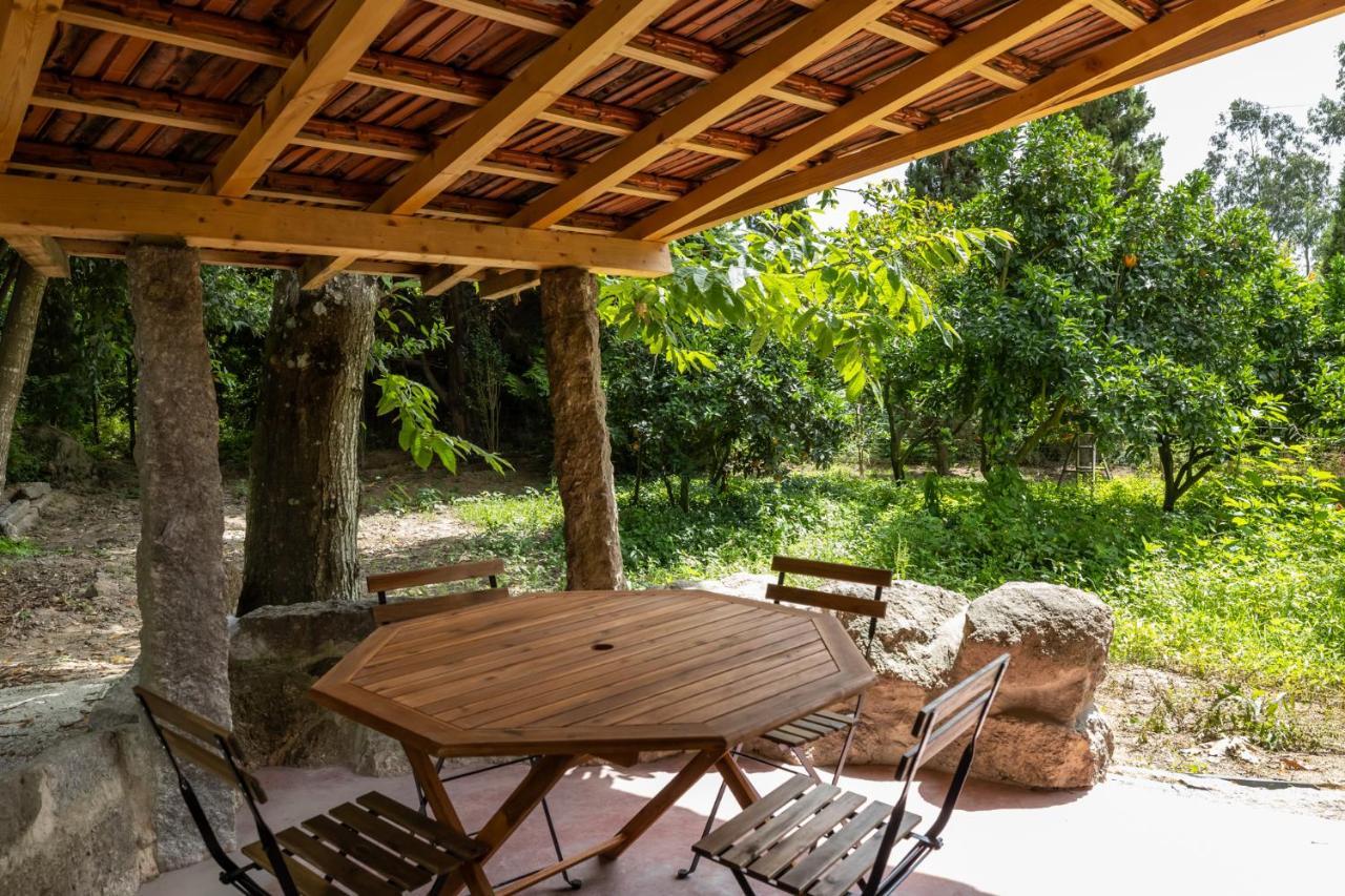 Casas Do Capitao - Paiva Valley - Pool And Nature カステロ・デ・パイヴァ エクステリア 写真
