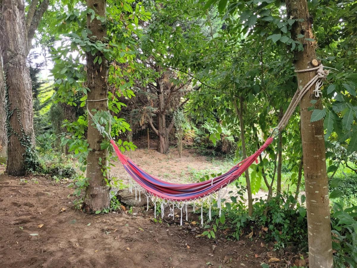 Casas Do Capitao - Paiva Valley - Pool And Nature カステロ・デ・パイヴァ エクステリア 写真